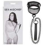 Sex & mischief fishnet collar & leash