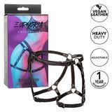 Euphoria collection riding high harness