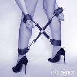 XO noctornal collection hog tie