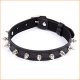 Spike pin buckle collar