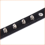 Spike pin buckle collar