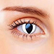 White cat contact lenses