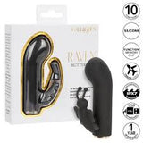 Raven butterfly