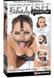 Interchangeable gag