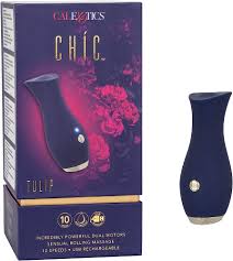 Chic tulip
