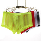 Transparent striped boxers