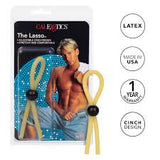 The lasso