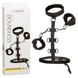 Boundless collar body restraint