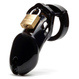 CB6000 male chastity device cock cage