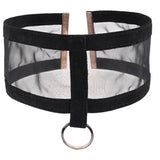 Sex and mischief sheer day collar