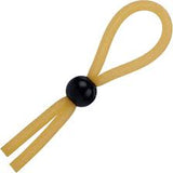 The lasso