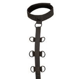 Boundless collar body restraint