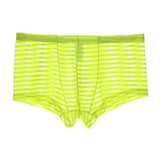 Transparent striped boxers
