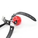 Harness breathable ball gag