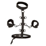 Boundless collar body restraint