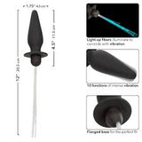Southern lights vibrating light up anal probe