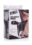 Strict male chastity harness