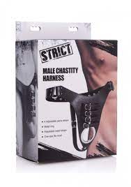 Strict male chastity harness
