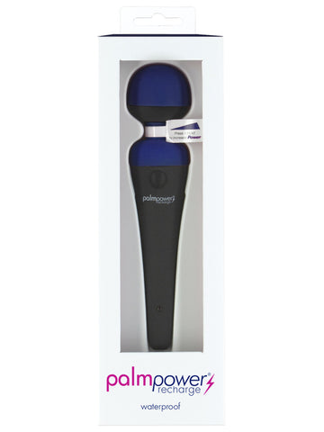 Palm power rechargeable blue