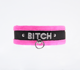 Love and leather bitch collar