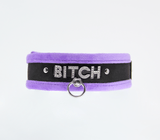 Love and leather bitch collar