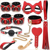 Luxury bondage kit with case