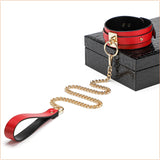 Luxury bondage kit with case