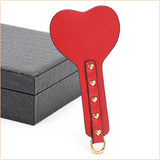 Luxury bondage kit with case